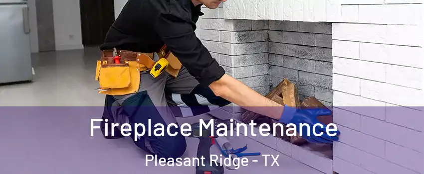 Fireplace Maintenance Pleasant Ridge - TX