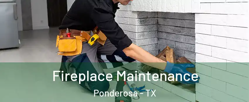 Fireplace Maintenance Ponderosa - TX