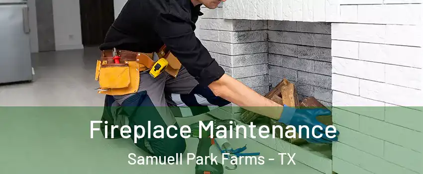 Fireplace Maintenance Samuell Park Farms - TX