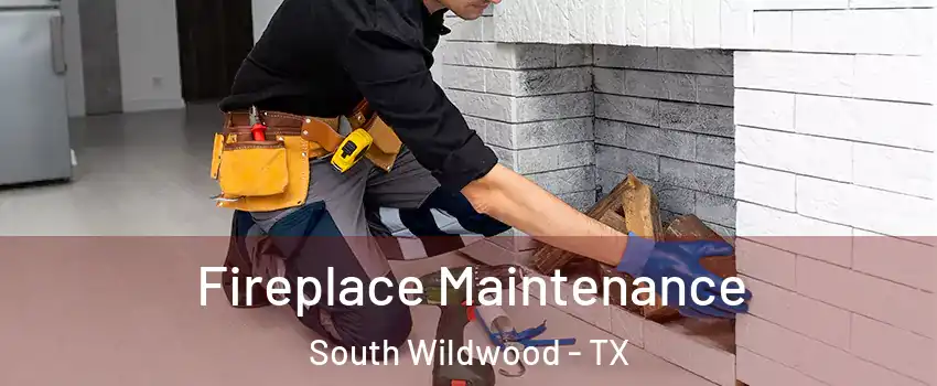 Fireplace Maintenance South Wildwood - TX