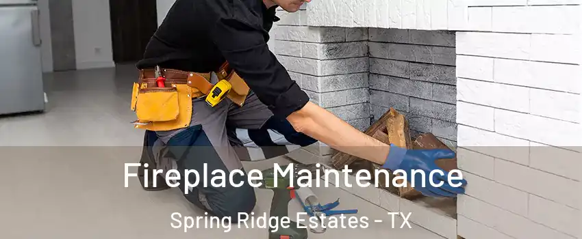 Fireplace Maintenance Spring Ridge Estates - TX
