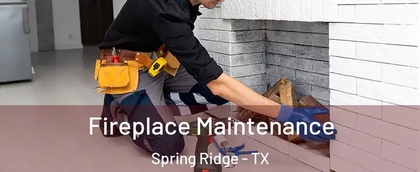 Fireplace Maintenance Spring Ridge - TX