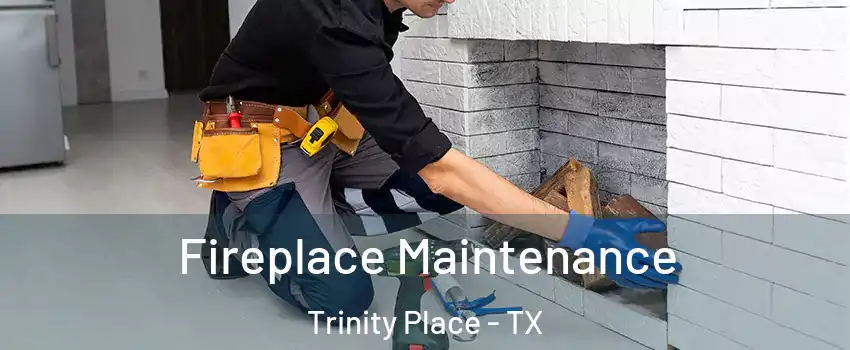 Fireplace Maintenance Trinity Place - TX