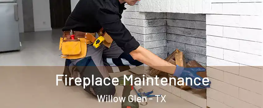 Fireplace Maintenance Willow Glen - TX