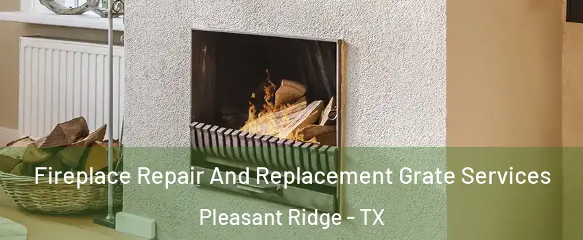 Fireplace Repair And Replacement Grate Services Pleasant Ridge - TX