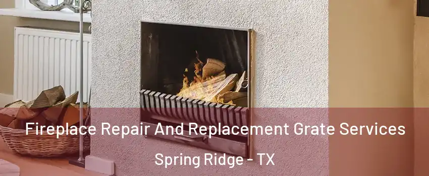 Fireplace Repair And Replacement Grate Services Spring Ridge - TX