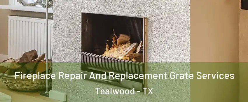 Fireplace Repair And Replacement Grate Services Tealwood - TX