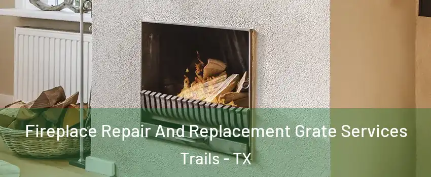 Fireplace Repair And Replacement Grate Services Trails - TX