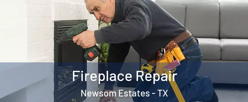 Fireplace Repair Newsom Estates - TX