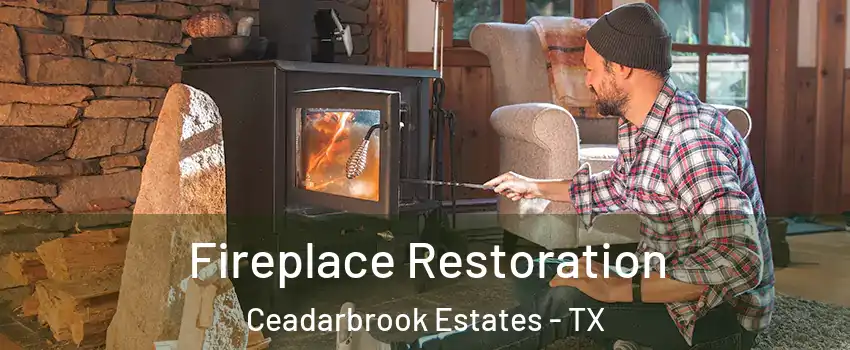 Fireplace Restoration Ceadarbrook Estates - TX