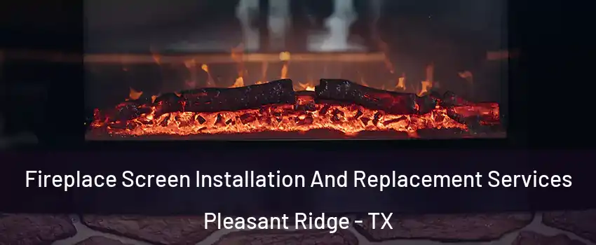 Fireplace Screen Installation And Replacement Services Pleasant Ridge - TX