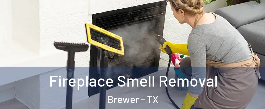 Fireplace Smell Removal Brewer - TX