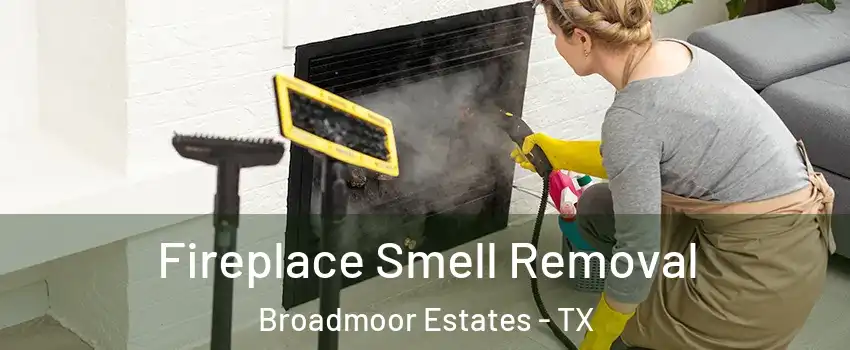 Fireplace Smell Removal Broadmoor Estates - TX