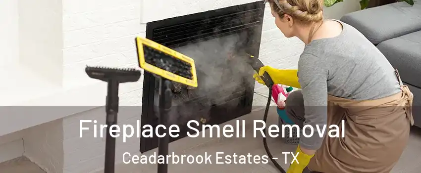 Fireplace Smell Removal Ceadarbrook Estates - TX