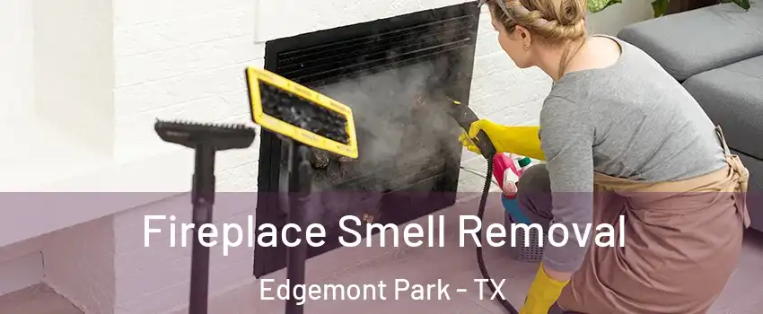 Fireplace Smell Removal Edgemont Park - TX