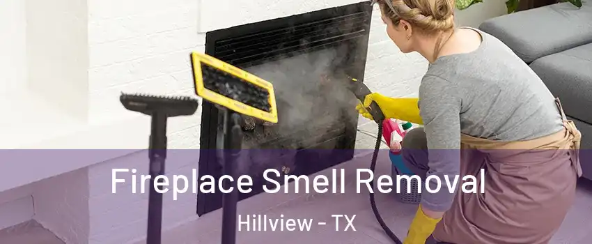 Fireplace Smell Removal Hillview - TX