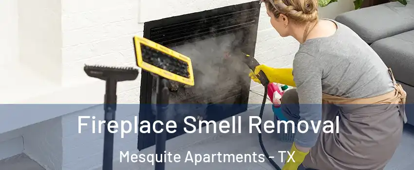 Fireplace Smell Removal Mesquite Apartments - TX