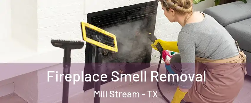 Fireplace Smell Removal Mill Stream - TX