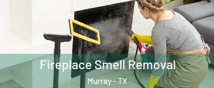 Fireplace Smell Removal Murray - TX