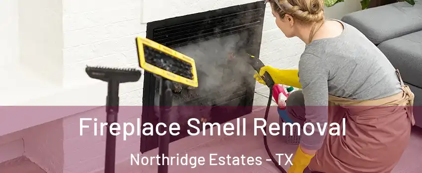 Fireplace Smell Removal Northridge Estates - TX