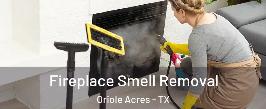 Fireplace Smell Removal Oriole Acres - TX