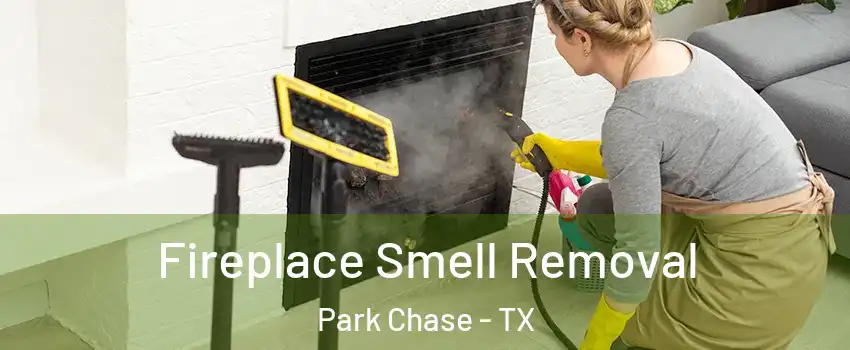 Fireplace Smell Removal Park Chase - TX