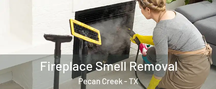 Fireplace Smell Removal Pecan Creek - TX