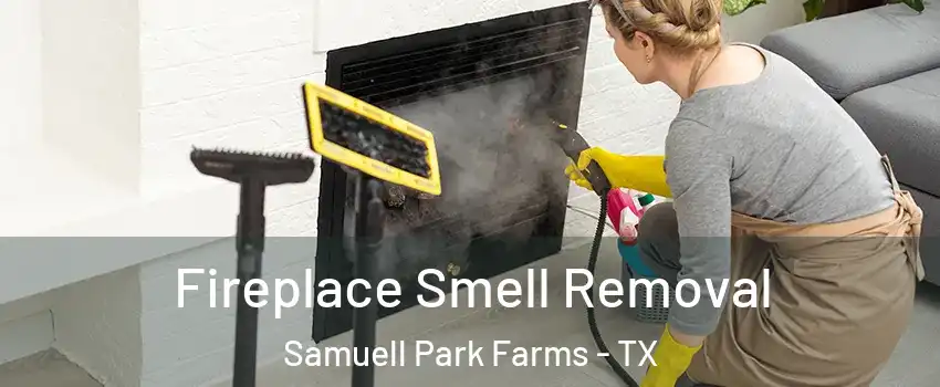 Fireplace Smell Removal Samuell Park Farms - TX