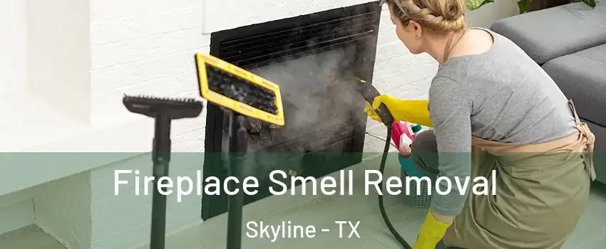Fireplace Smell Removal Skyline - TX