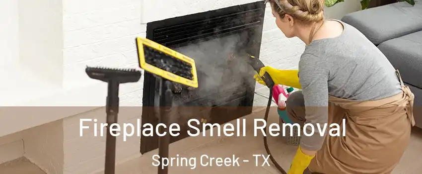 Fireplace Smell Removal Spring Creek - TX