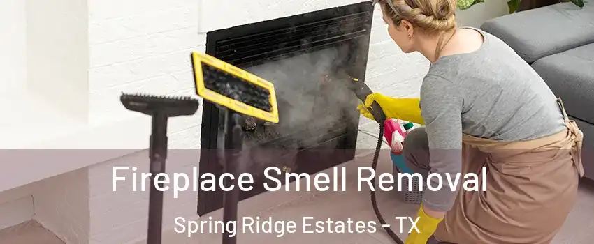 Fireplace Smell Removal Spring Ridge Estates - TX