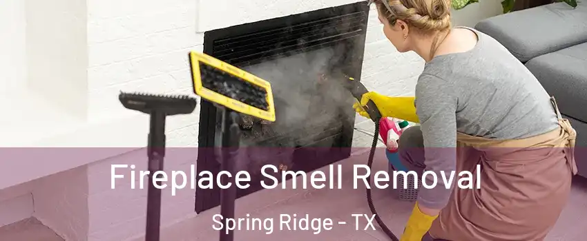 Fireplace Smell Removal Spring Ridge - TX