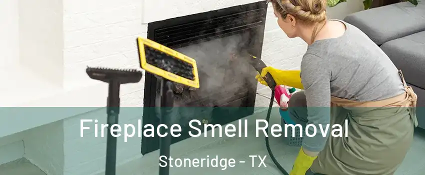 Fireplace Smell Removal Stoneridge - TX
