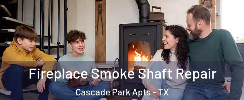 Fireplace Smoke Shaft Repair Cascade Park Apts - TX