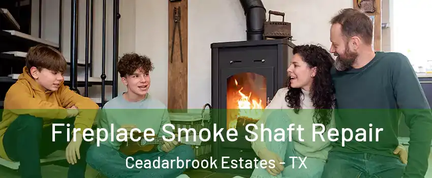 Fireplace Smoke Shaft Repair Ceadarbrook Estates - TX