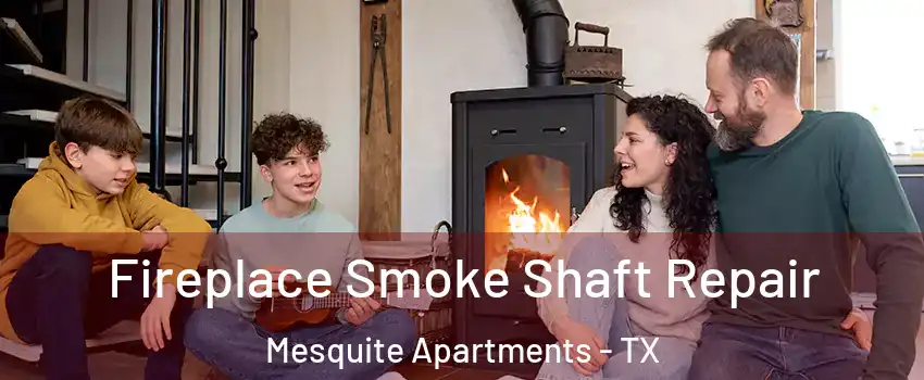 Fireplace Smoke Shaft Repair Mesquite Apartments - TX