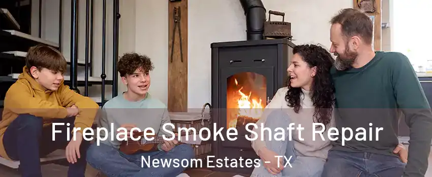 Fireplace Smoke Shaft Repair Newsom Estates - TX