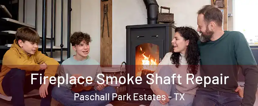 Fireplace Smoke Shaft Repair Paschall Park Estates - TX