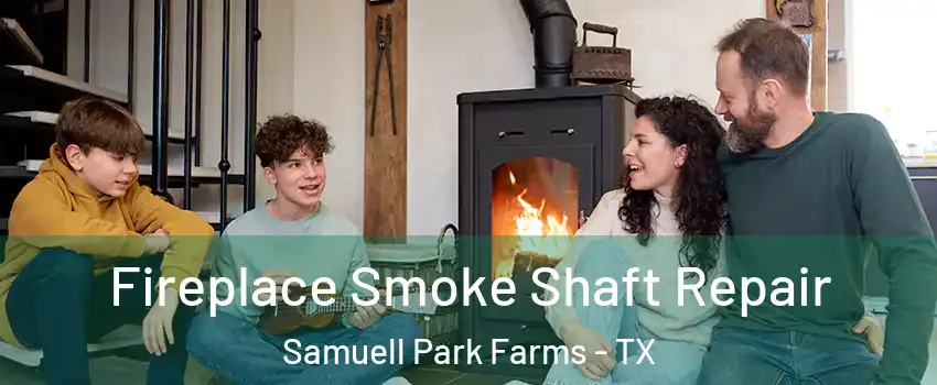 Fireplace Smoke Shaft Repair Samuell Park Farms - TX