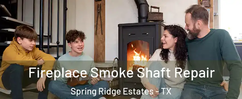 Fireplace Smoke Shaft Repair Spring Ridge Estates - TX
