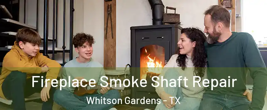 Fireplace Smoke Shaft Repair Whitson Gardens - TX