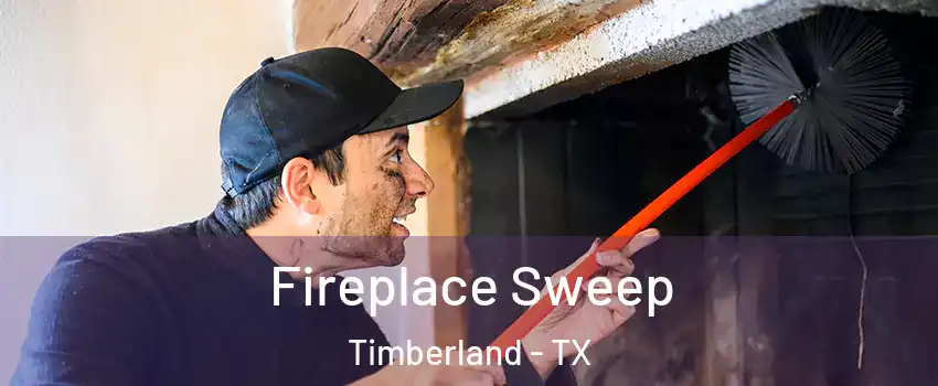 Fireplace Sweep Timberland - TX