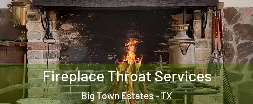 Fireplace Throat Services Big Town Estates - TX