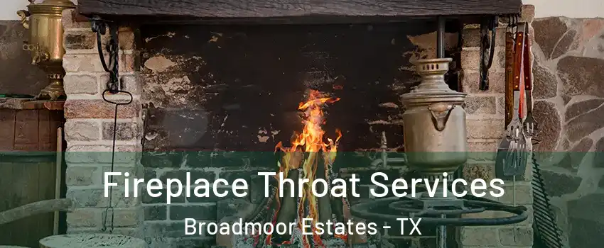 Fireplace Throat Services Broadmoor Estates - TX