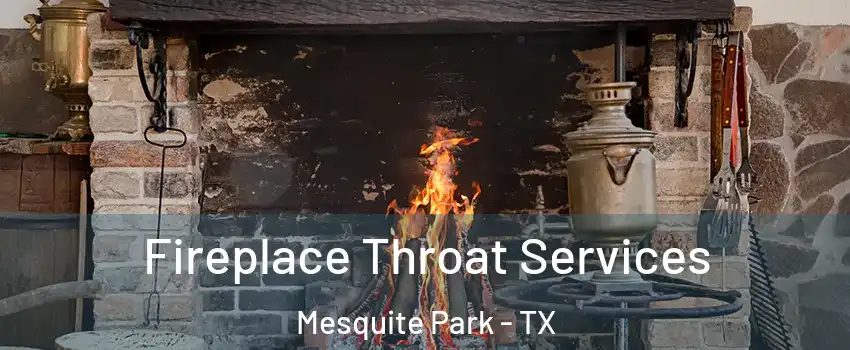 Fireplace Throat Services Mesquite Park - TX