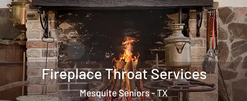 Fireplace Throat Services Mesquite Seniors - TX