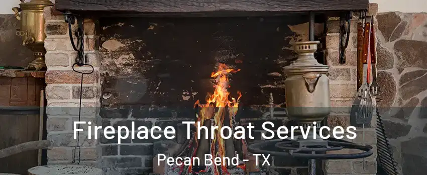 Fireplace Throat Services Pecan Bend - TX