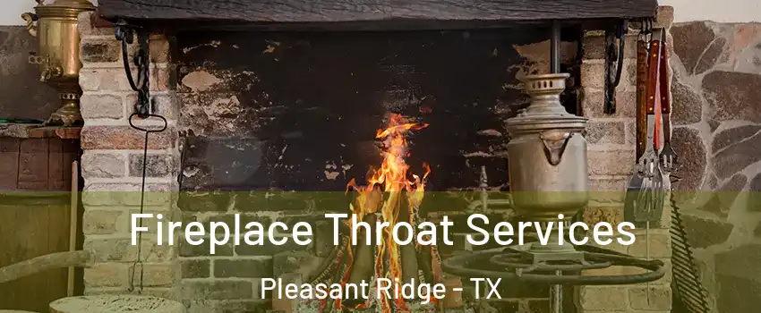 Fireplace Throat Services Pleasant Ridge - TX