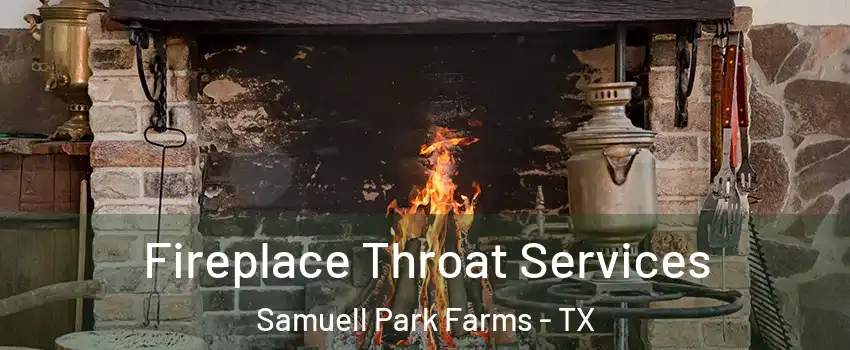 Fireplace Throat Services Samuell Park Farms - TX