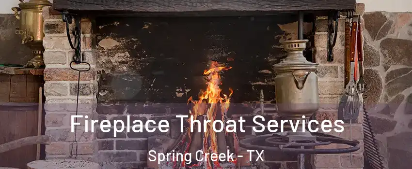 Fireplace Throat Services Spring Creek - TX